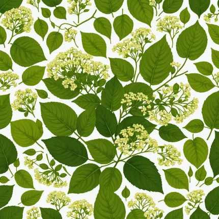 A Look at Upcoming Innovations in Electric and Autonomous Vehicles